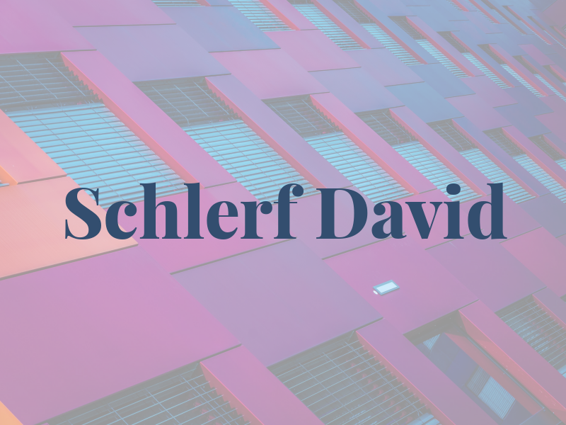 Schlerf David