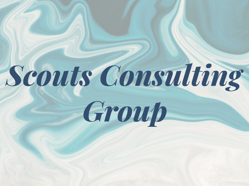 Scouts Consulting Group