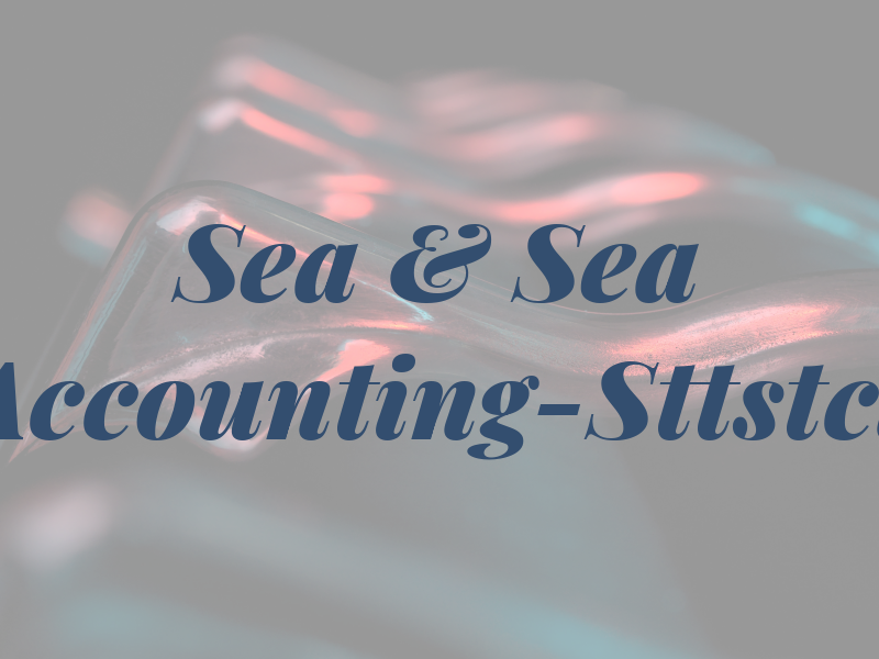 Sea & Sea Accounting-Sttstcl