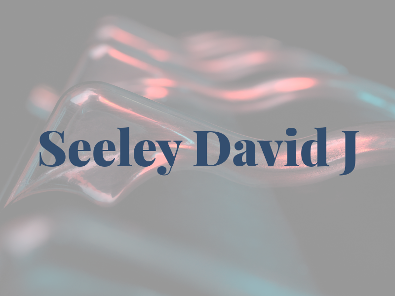 Seeley David J