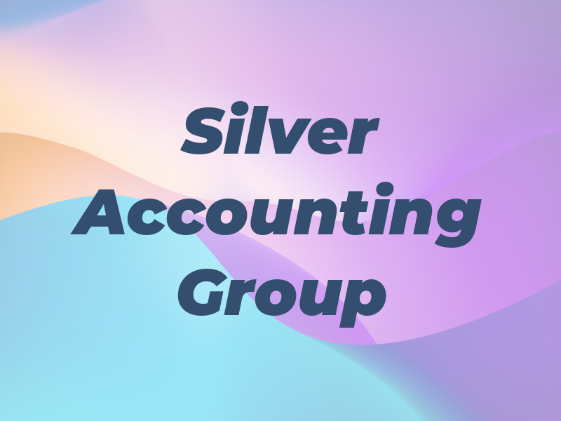 Silver Accounting Group