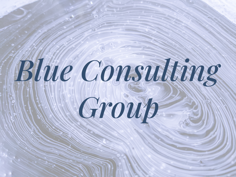 Sky Blue Consulting Group