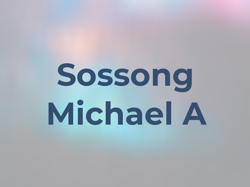 Sossong Michael A