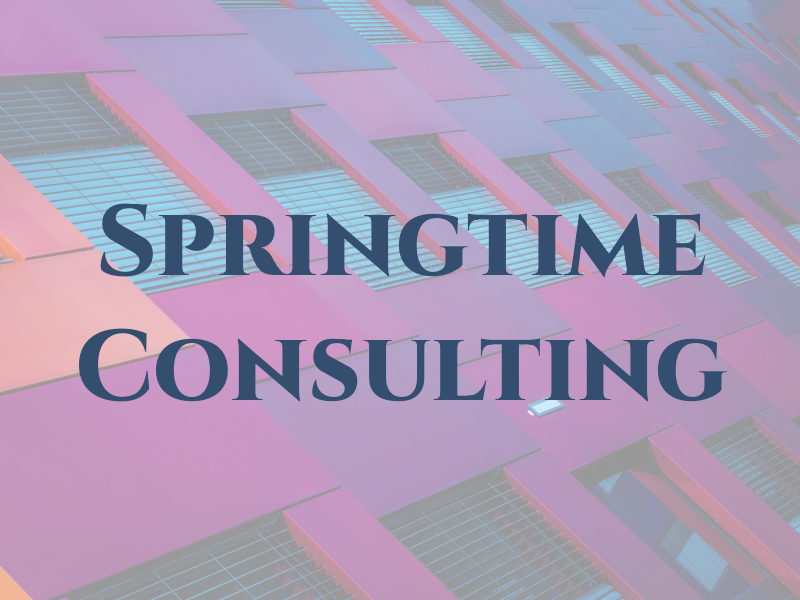 Springtime Consulting