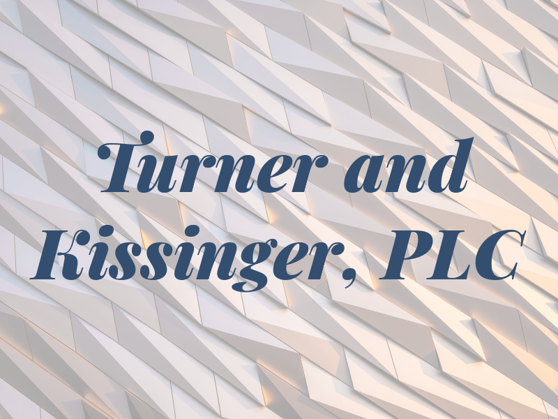 Turner and Kissinger, PLC