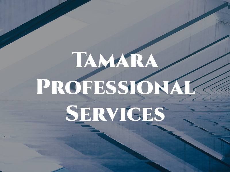 Tamara Dye Professional Tax Services