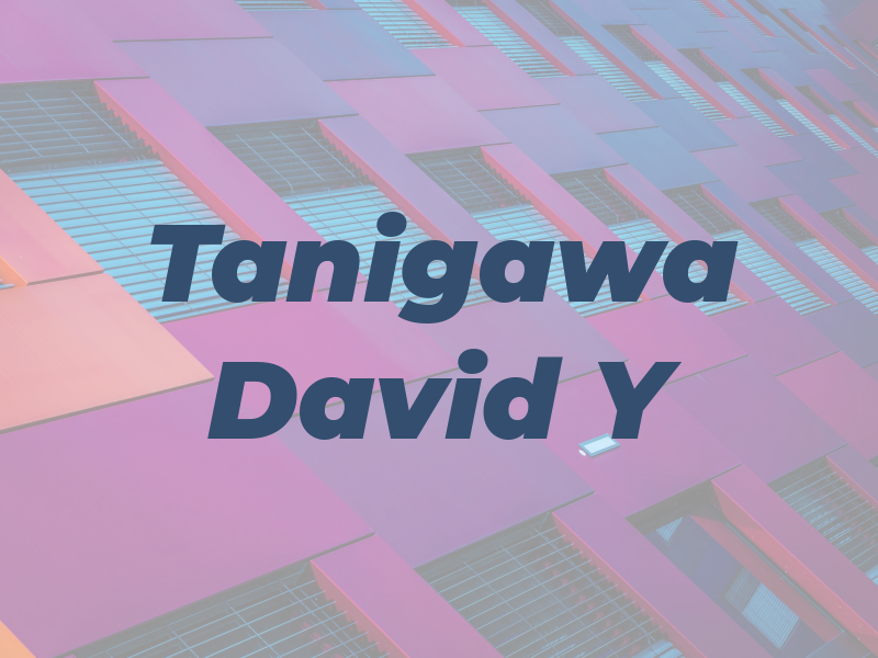 Tanigawa David Y