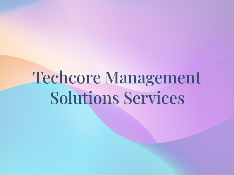 Techcore Management Solutions Services