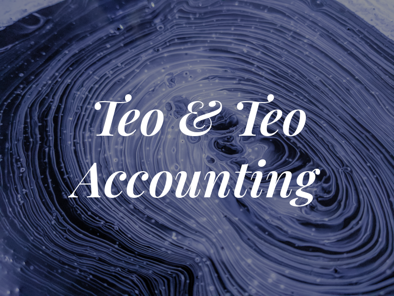 Teo & Teo Accounting