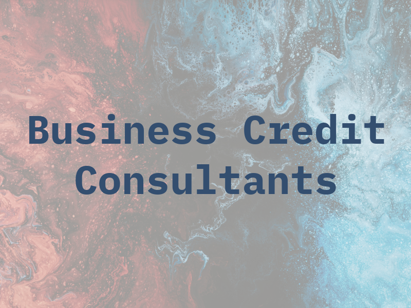 The Business Credit Consultants