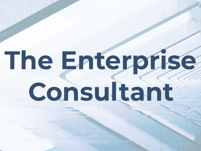 The Enterprise Consultant