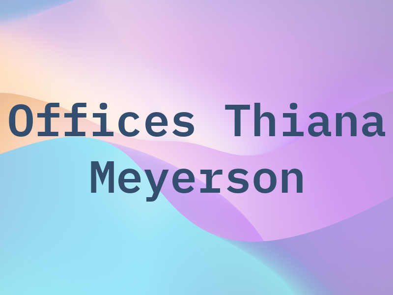 The Law Offices Of Thiana Meyerson