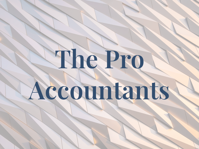 The Pro Accountants