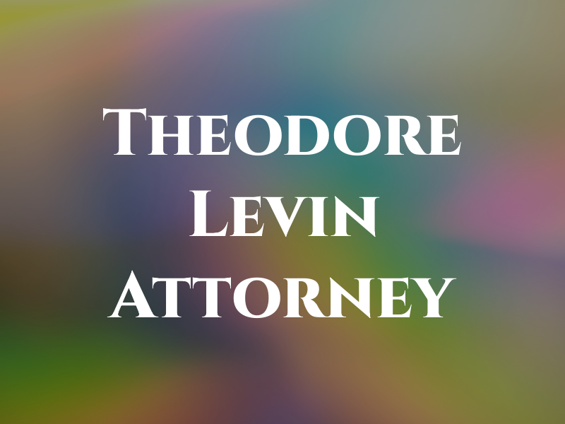 Theodore Levin Attorney At Law