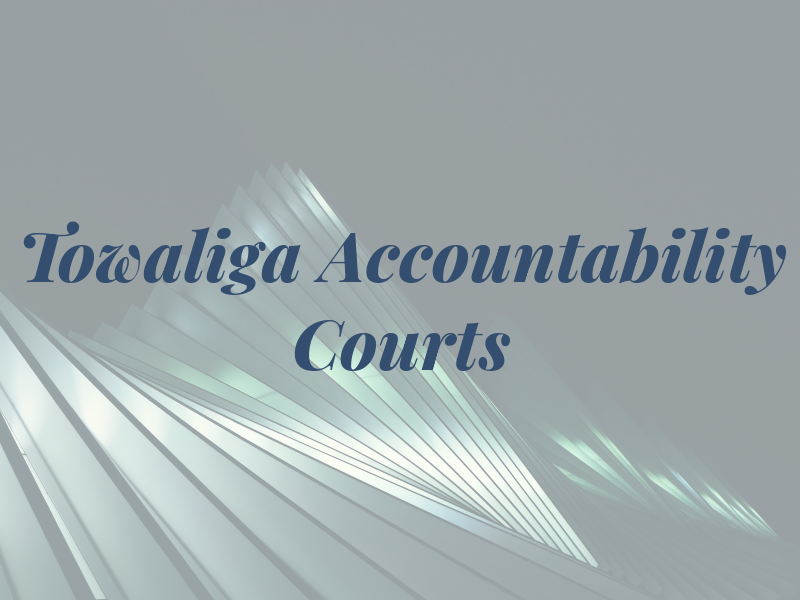 Towaliga Accountability Courts