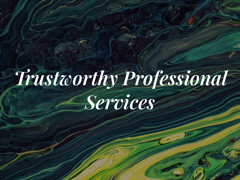 Trustworthy Professional Tax Services