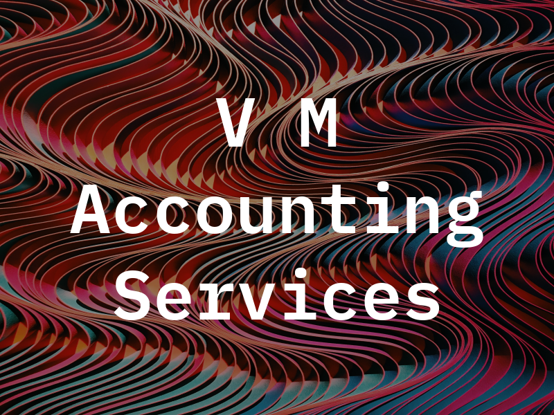 V M Accounting Services