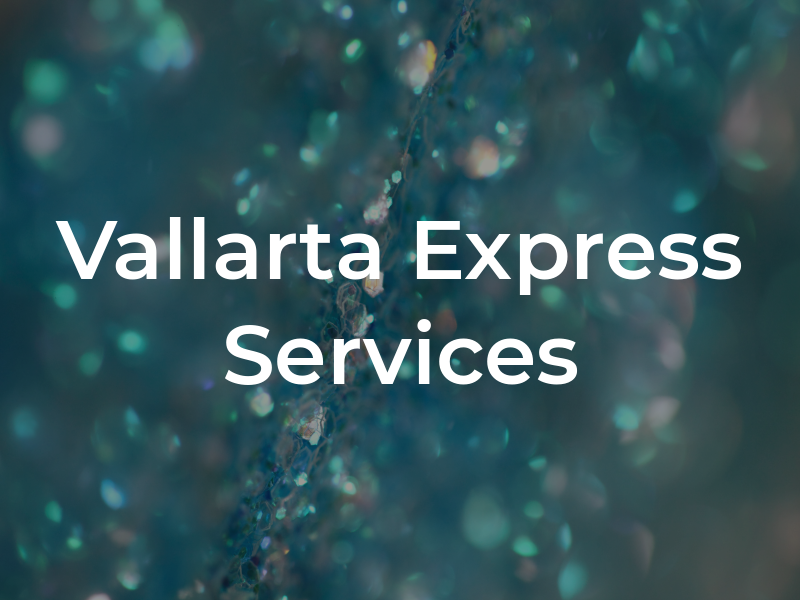 Vallarta Express Tax Services