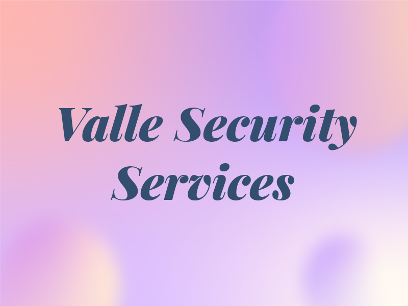 Valle Security Services