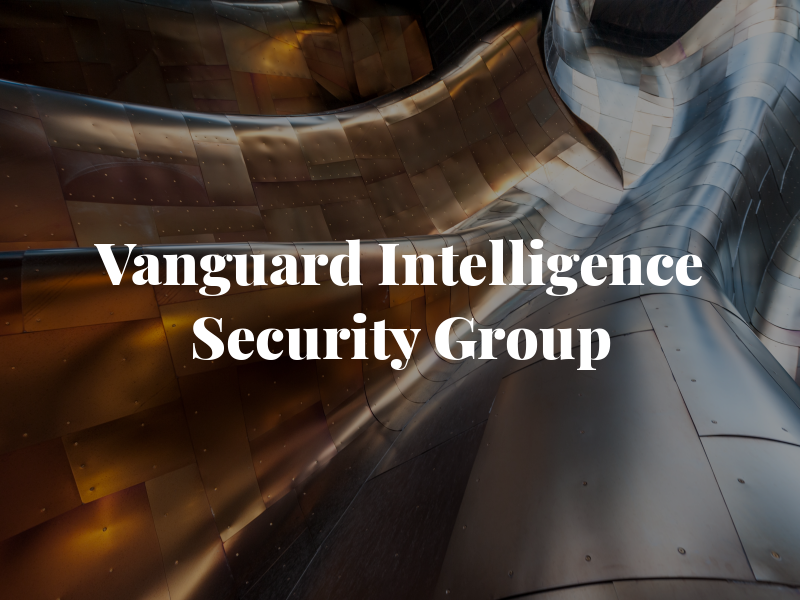 Vanguard Intelligence & Security Group