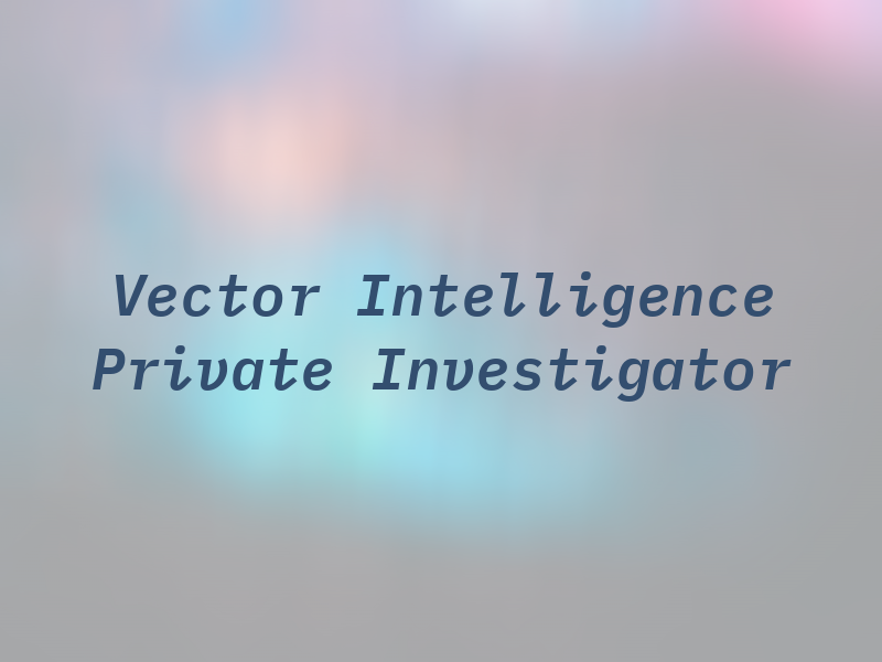 Vector Intelligence - Private Investigator