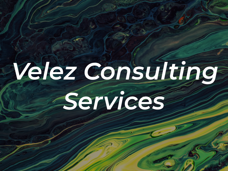 Velez Consulting Services