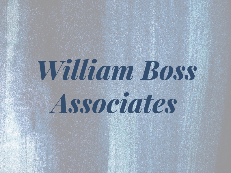 William E Boss & Associates