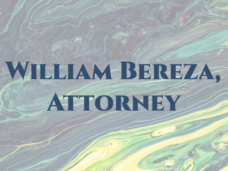 William I. Bereza, Attorney at Law