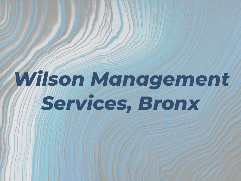 Wilson Management Tax Services, Bronx NY
