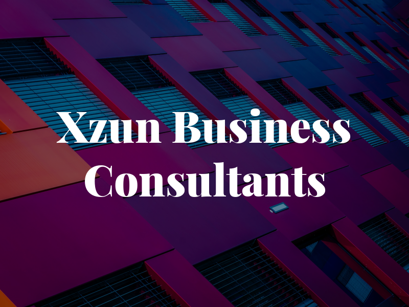 Xzun Business Consultants
