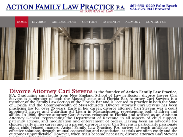 Action Family Law Practice