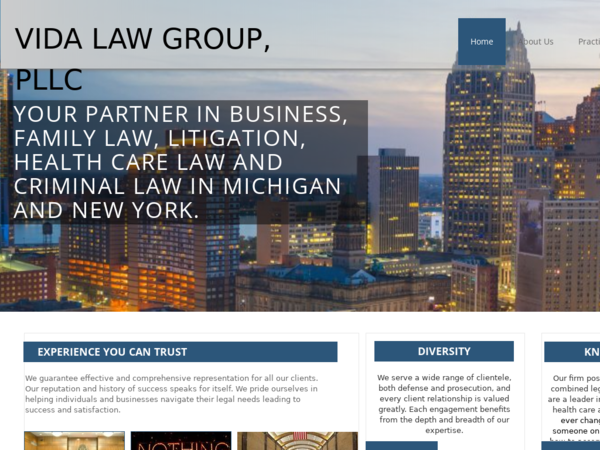 Vida Law Group