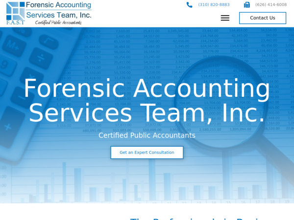 Forensic Accounting Services Team