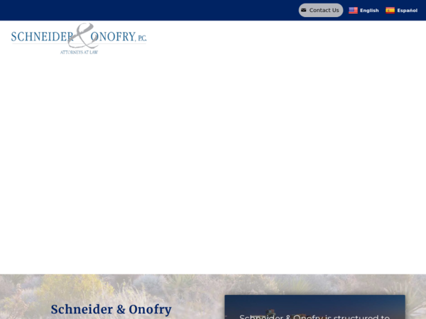 Schneider & Onofry Custody Lawyers