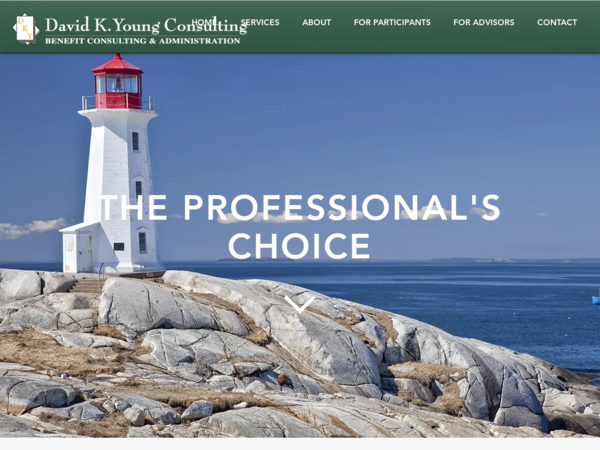 David K Young Consulting