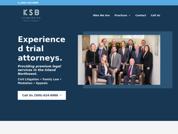 KSB Litigation