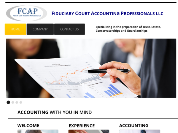 Fiduciary Court Accounting Professionals