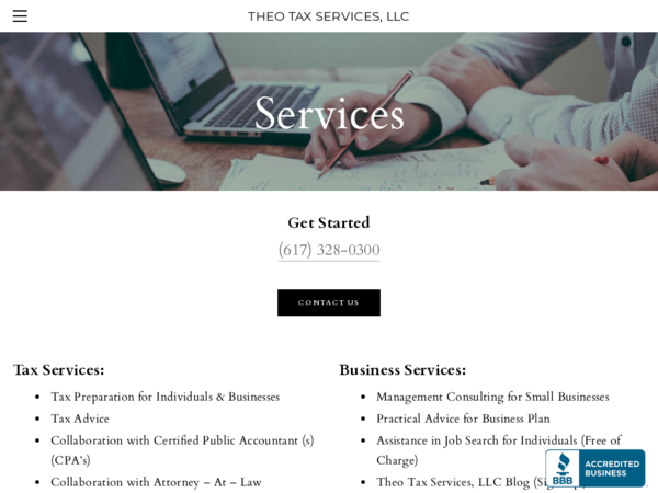 Theo Tax Services