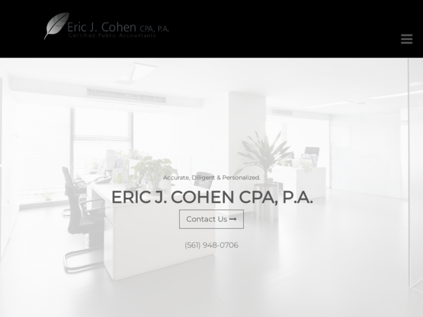 Eric J Cohen CPA PA