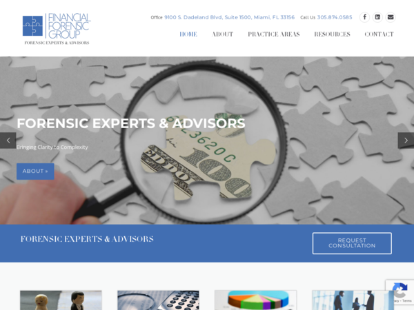 Financial Forensic Group