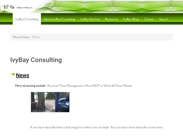 Ivybay Consulting