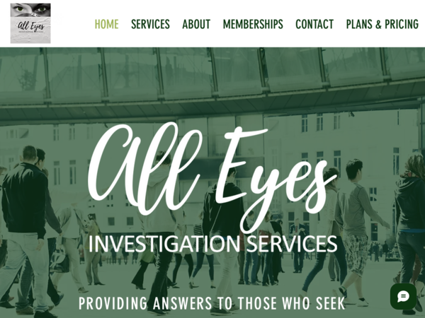 All Eyes Investigation Services