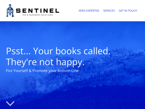 Sentinel Tax & Business Solutions