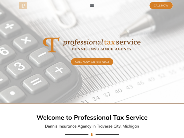 Professional Tax Services