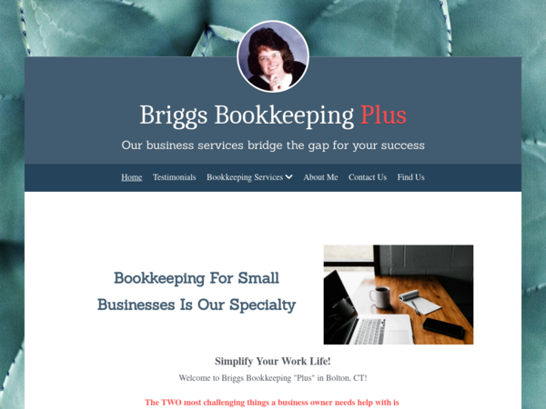 Briggs Bookkeeping Plus