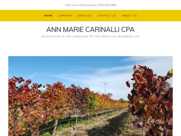 Ann Marie Carinalli, CPA