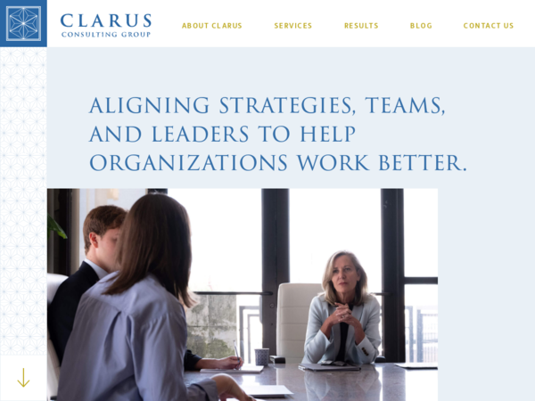 Clarus Consulting Group