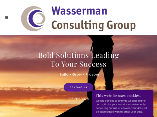 The Wasserman Consulting Group