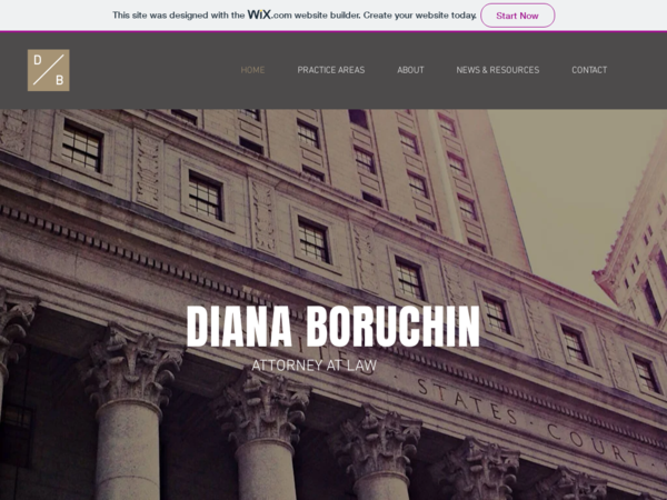The Law Office Of Diana Boruchin
