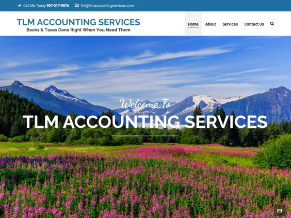 TLM Accounting Services